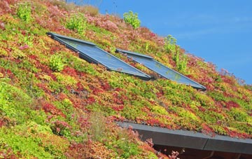 Treswithian Downs living roof systems