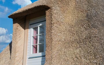 Treswithian Downs thatch roof disadvantages